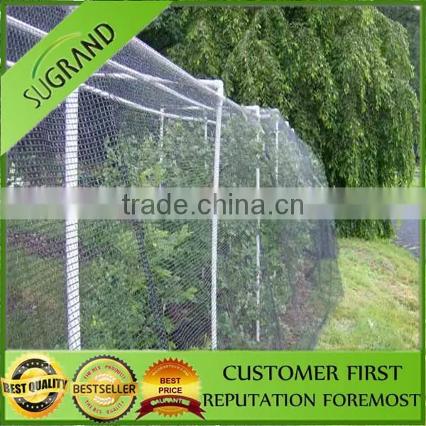 15*15MM Anti Bird Net Bird Netting Mesh photo-5
