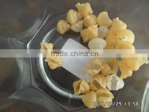 China Supplier Manufacture Economic Pellet Snack Food Extrusion Machine photo-6