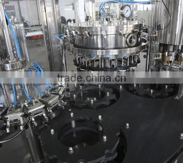 Beer Bottle Filling Machine photo-2