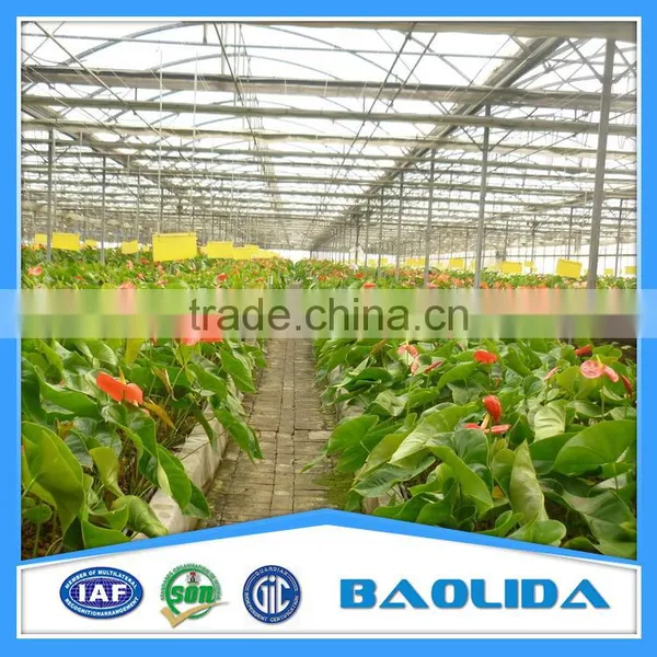 Agriculture Polycarbonate Green House photo-3