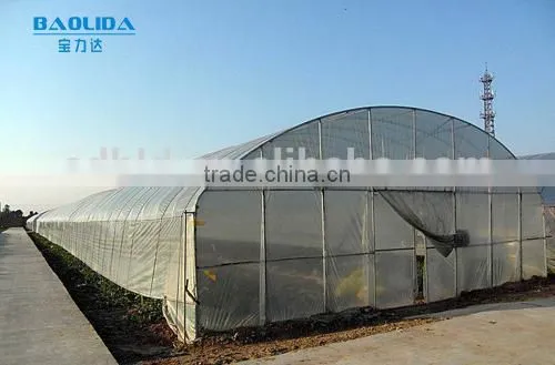 Arch Pipes Tunnel Greenhouse Grow Tent/Plastic Greenhouse For Vegetables photo-2