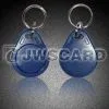 TK4100 Keychain, 125Khz Keychain