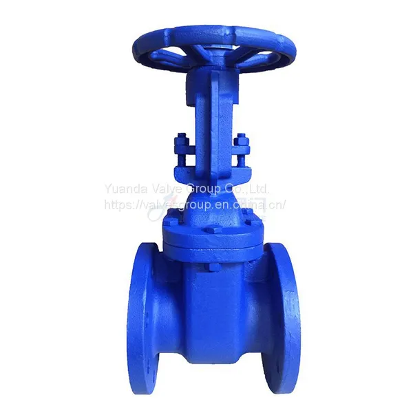 BS5163 Cast Iron Rising Stem Gate Valve China Cast Iron Gate Valve BS Standard Gate Valve