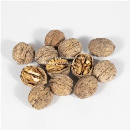 XingFu Walnut Inshell  China Shelled Walnuts Manufacturers Walnut Xinjiang Walnut Suppliers
