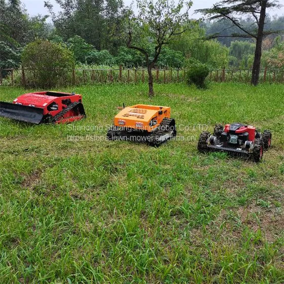 Slope Lawn Mower China Manufacturer Factory Supplier Wholesaler photo-2