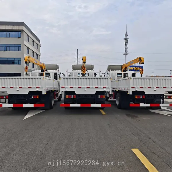 Sinotruk Double-row Seat Export-type Truck-mounted Crane With Anti-corrosion Electrophoretic Cargo Box and Xcmg Crane photo-5