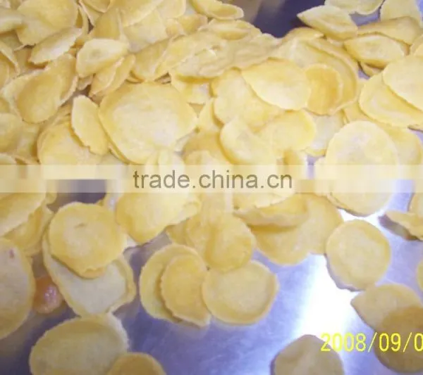 Automatic Corn Flakes/Breakfast Cereals Machine/Extruder/Processing Line photo-6