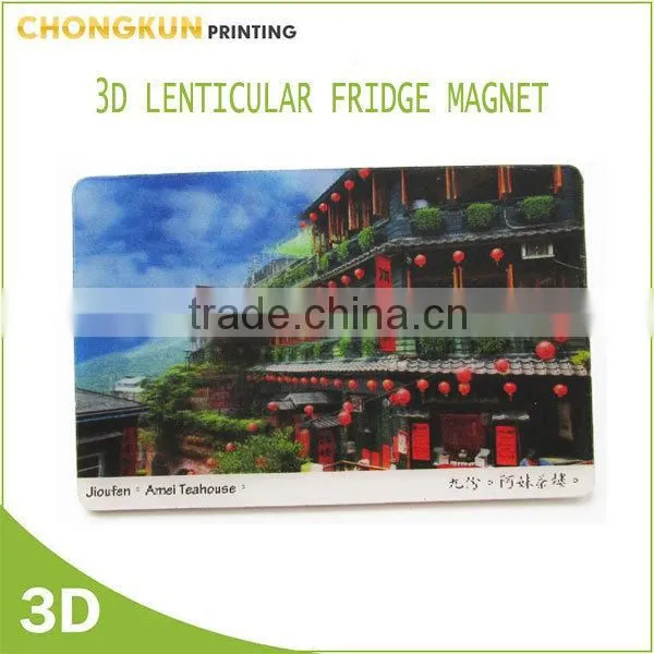 3d Lenticular Fridge Magnet, Custom Souvenir Fridge Magnet photo-3