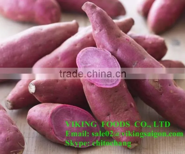 HOT SELL - COOKED FROZEN SWEET POTATO - HIGH QUALITY photo-2