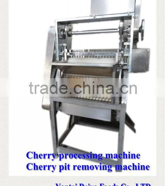 Cherry Seed Removing Machine / Cherry Pitting Machine photo-4