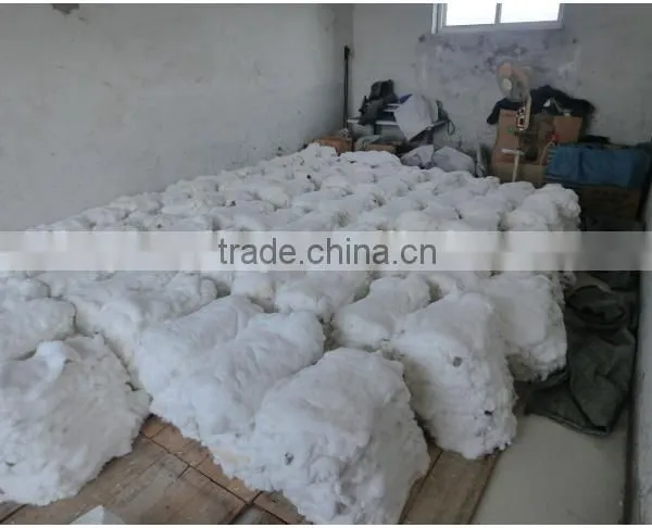 High Quality White Rex Rabbit Skin photo-5