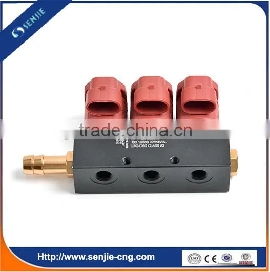 Cng Kit Cng Lpg Injector Rail in Car Fuel System photo-6