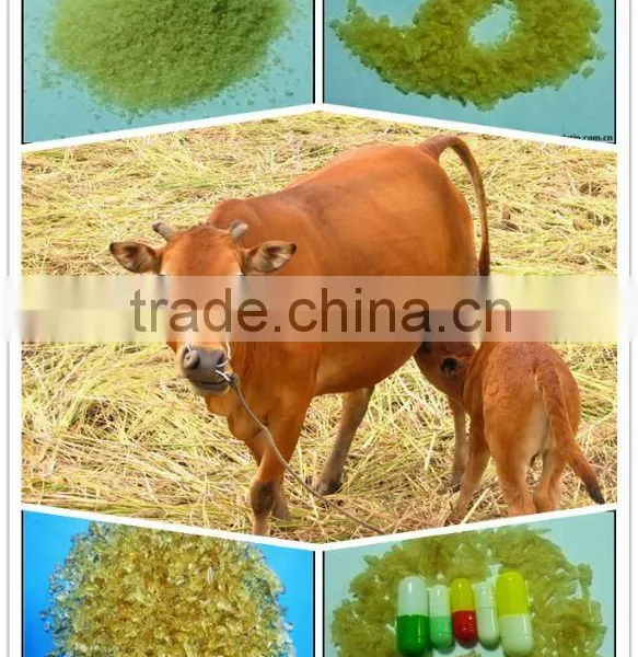 Halal Edible Gelatin
