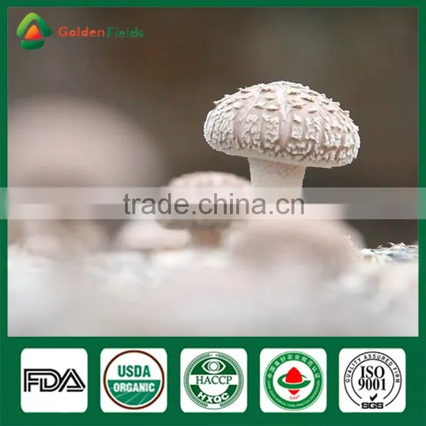 Organic Shiitake Mushroom,Dried Shiitake Mushroom,Shiitake Mushrooms 1kg photo-6
