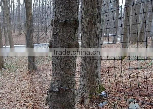 Factory Chicken Plastic Net/hencoop Plastic Net photo-4
