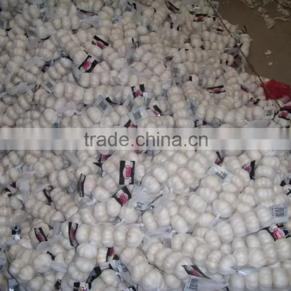 Garlic Market photo-2