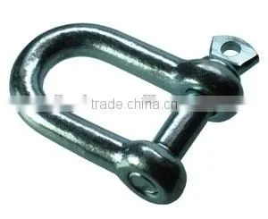 Stainless Steel SUS 304/316/316L European Type D Shackle photo-2