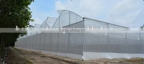 Greenhouse Film photo-5