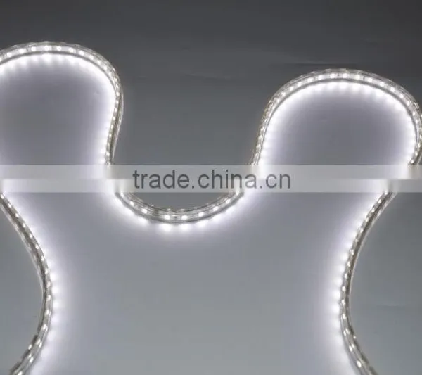 Outdoor Waterproof 220V AC Flex IP65 Tube Around 5050 Led Strip photo-3