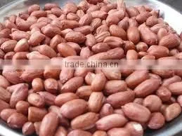 Best Price Bold Peanut Certified Supplier From India photo-3