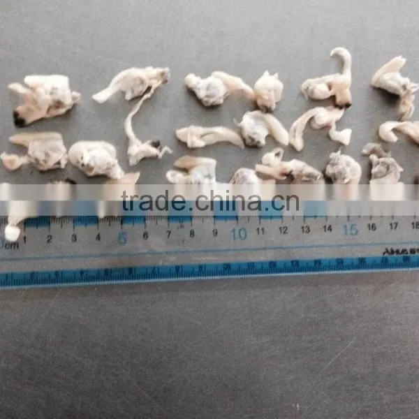 Frozen Chopped Short Neck Clam Meat With Stomach Removed photo-4