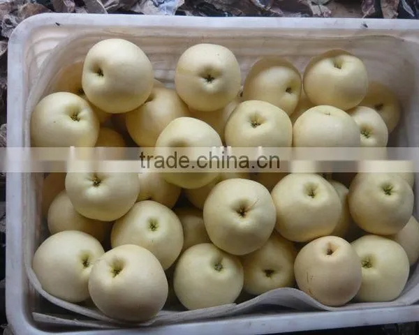 2015 Emerald Pear With Good Taste Exporter in China photo-2