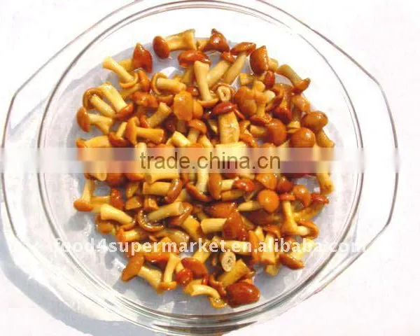 Canned Nameko