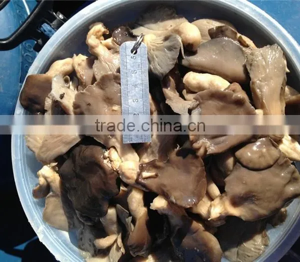 Oyster in Brine