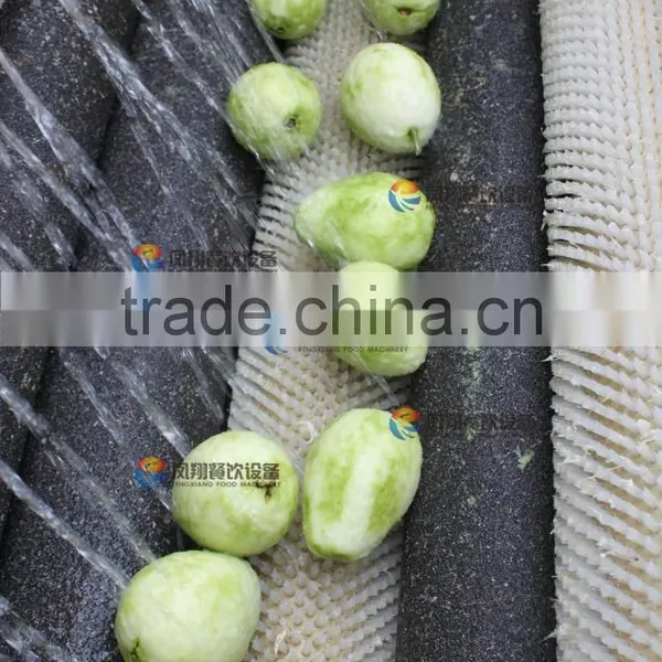 Industrial Commercial Automatic Vegetable Washer and Peeler photo-4