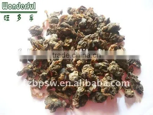 Best Price Shell Meat Powder for Fish Feed Additives, Sea Shell Flesh Powder photo-3
