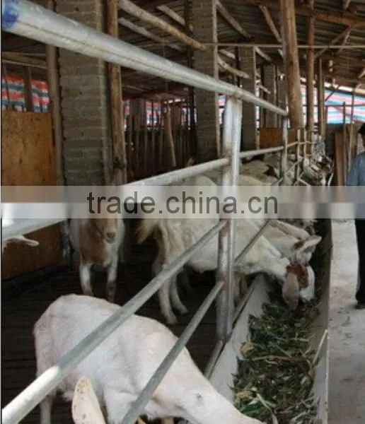Hot Dip Galvanized Sheepcot photo-5