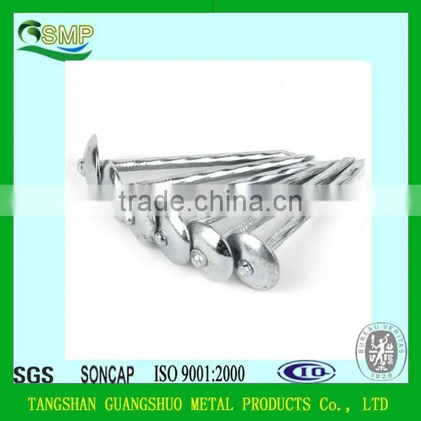 BWG9*2.5" Roofing Nails photo-5