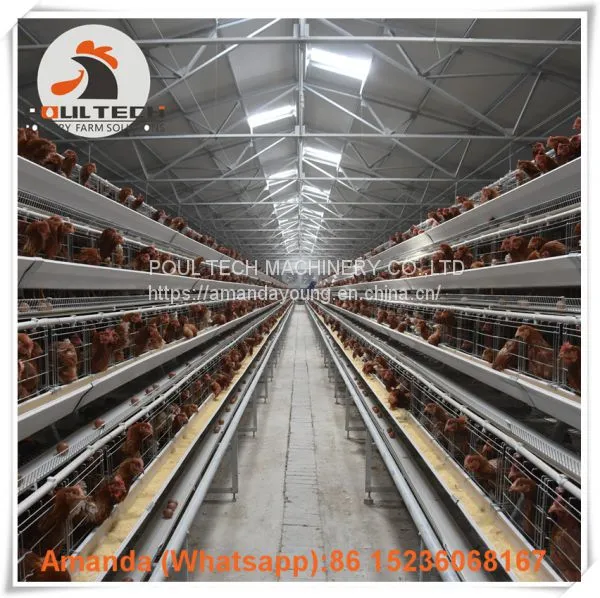 Brazil A Type Battery Laying Hen Cage & Chicken Cage With 90-200 Birds for Poultry Farm photo-2