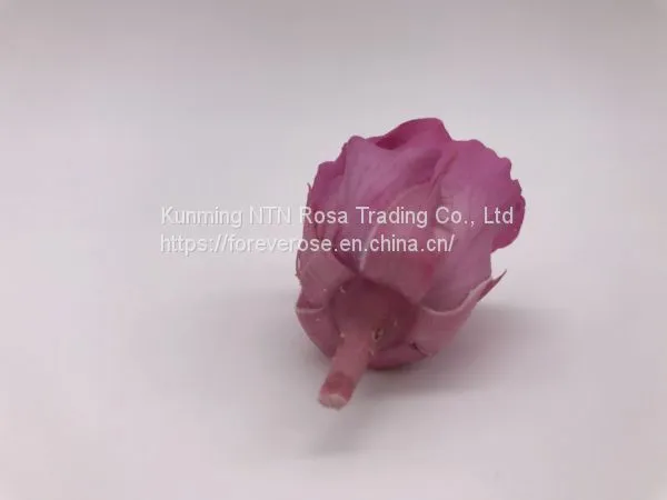 Preserved Rose Flowers for Wedding Decoration Flower Arrangement photo-3