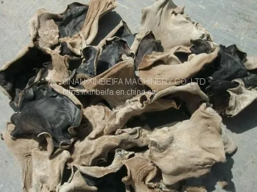 Fungus Drying Machine photo-5