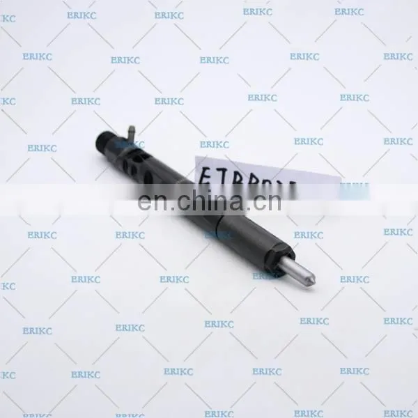 ERIKC EJBR02501Z Original Diesel 2501Z Common Rail Injector EJB R02501Z photo-5