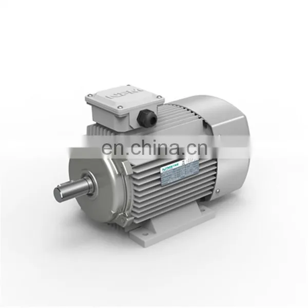 YE2 Series Electric Motor High Speed Three Phase Induction Motor for Industry Machinery Asynchronous Motor photo-7