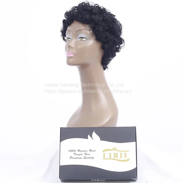 Wholesaler of Short Curly Human Hair Wigs photo-2