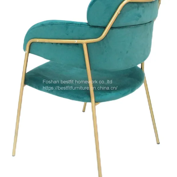 XC218 Whole Sell Price Stainless Steel Dining Chair Modern Design photo-2