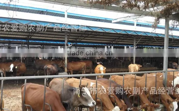 Animal for Drying Bags Wood Sawdust Bedding photo-4