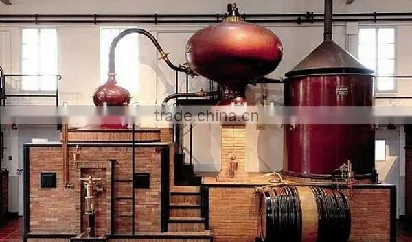 Grape Juice Distillation Machine photo-2