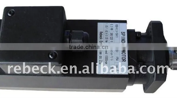 Woodworking Machinery Spindle Motor, Spindle Motor for Woodworks