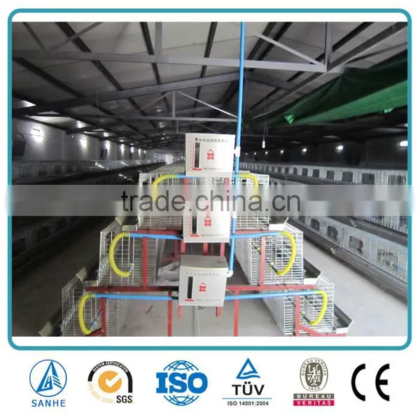 Steel Structure Chicken House photo-3
