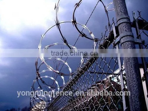 Barb Wire and Razor Wire photo-2