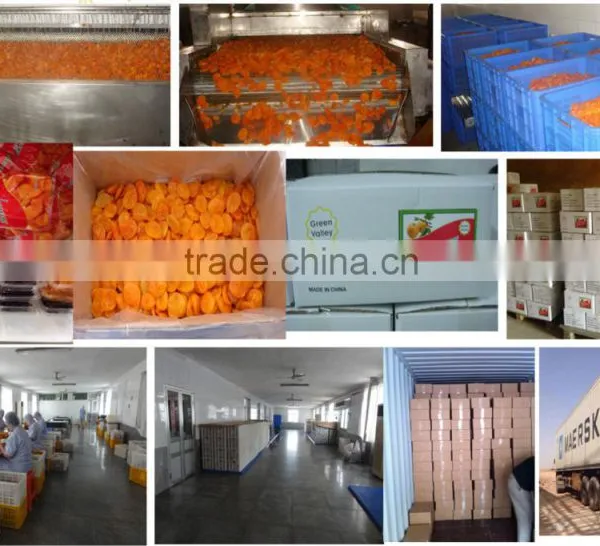 Chinese Dried Apricot for Sale photo-4