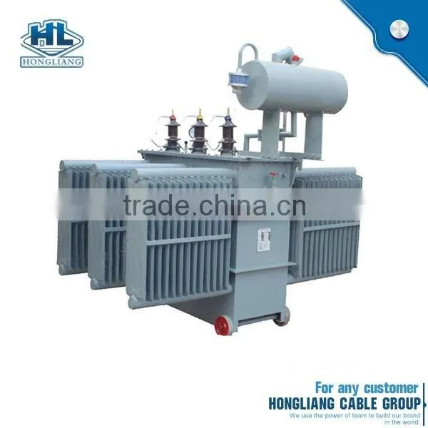 Factory Supply Best Brand 3 Phase Hermetically Seal 110Kv Oil-Filled Voltage Transformer photo-3