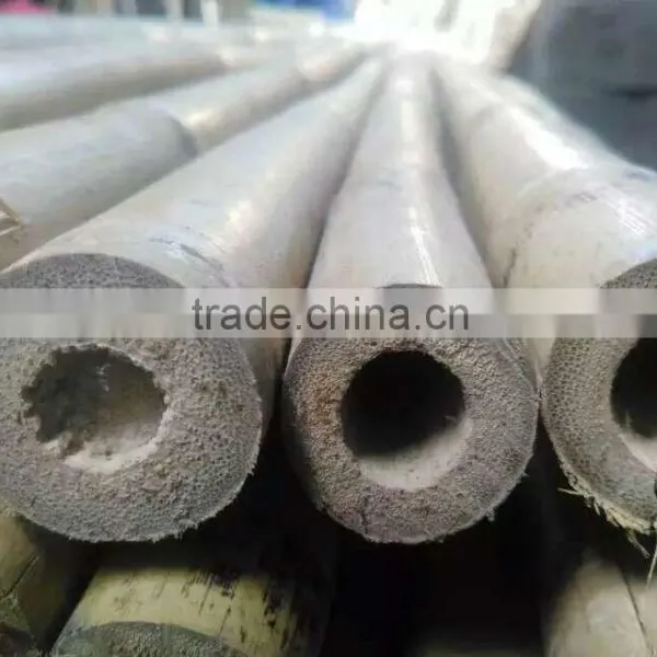Cheap Bamboo Pole Bamboo Cane YELLOW BAMBOO POLES