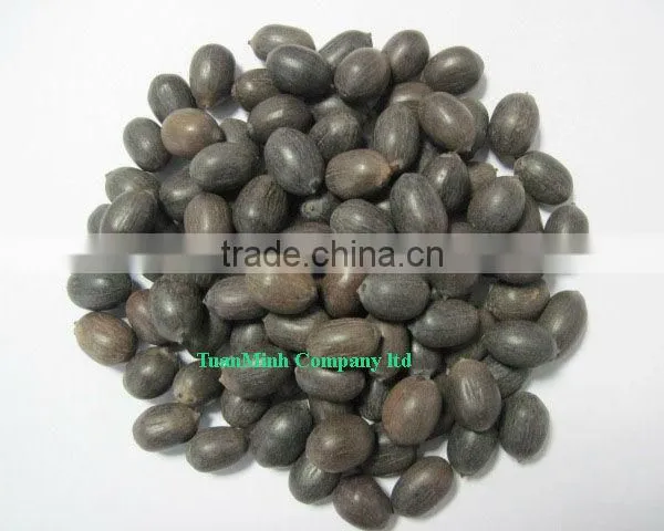 Vietnam Black Lotus Seeds (the Best Quality)