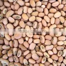 COW PEAS