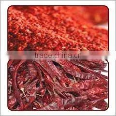 S17 / Teja Chilli photo-3